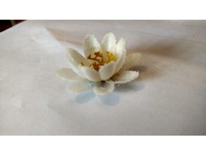 lilypad flor exploraciones & réplicas de la lily pad 3d print model - Mito3D