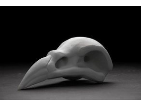 xayah - raven cranio sculture cosplay lega leggende lol 3d print model - Mito3D