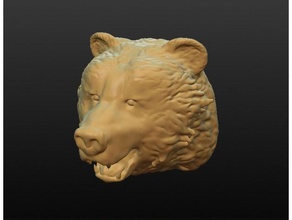 la testa di un orso animali 3d print model - Mito3D