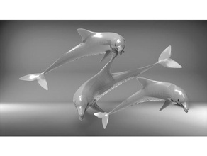 dolphin yunus l'art des outils 3d print model - Mito3D