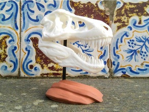 t-rex skull rock di base biologia dinosauro paleontologia cranio trex trexremix tyrannosaurus rex 3d print model - Mito3D