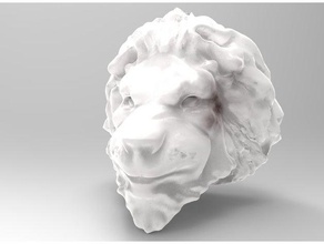 tête de lion animaux 3d print model - Mito3D