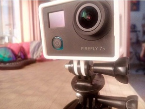 firefly 6s 7s luz de la caja cámara montaje caso gopro 3d print model - Mito3D