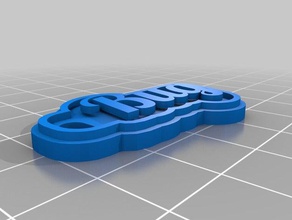 bug name tag dual 2 keychains customized 3d print model - Mito3D