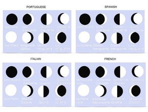 moon phases - portuguese spanish italian french versions physics & astronomy phase science space 3d print model - Mito3D