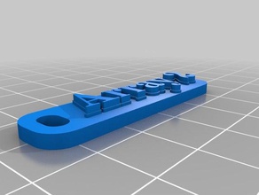 array 2 keychains customized 3d print model - Mito3D