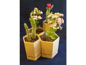 4 hex segmentos de vaso flores exterior e jardim 3d print model - Mito3D