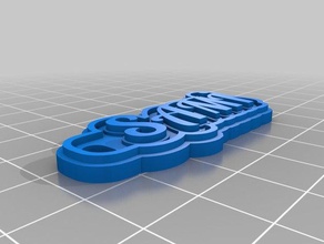 sam Schlüsselanhänger kundengebundene 3d print model - Mito3D