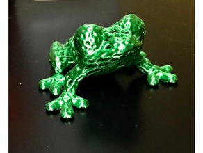 mesh frog improved sculptures nature sculpture 3d print model - Mito3D