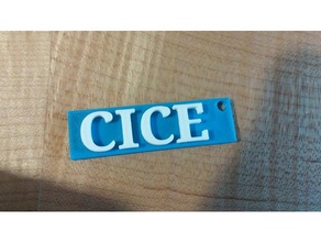 cice key chain 3d printing classroom 3d print model - Mito3D