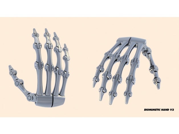 biomimetic hand v2 robotics 90s robot endoskeleton prosthetics robotic skeleton terminator 3D print model - Mito3D