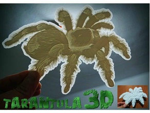 tarantula lithophane 2d art 3dlito animal contraluz litofania relief relieve 3d print model - Mito3D