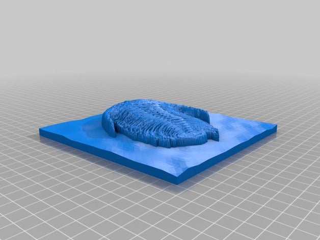 dokunsal fosiller öğrenme eğitim fosil görme engelli 3D print model - Mito3D