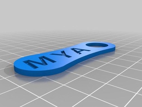 meine angepasste Einkaufswagen-chip Namenstag Ihrem Schlüsselbund aktualisiert Haushalt versorgt kundengebundene 3d print model - Mito3D
