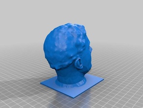 busto mia testa lezione di arte La stampa 3d 3d print model - Mito3D