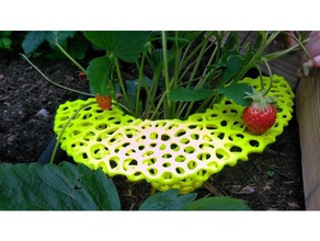 voronoi strawberry protection riser erdbeer-reifer erdbeergitter outdoor & garden erdbeere gardening strawberries mesh 3d print model - Mito3D