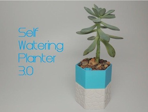 self-watering planter 3 outdoor & garden aquaponics biology botany container cool decor decoration design desk desktop diy education flower pot vase fun gardening hexagon hexagonal high school house household hydroponic hydroponics indoor kitchen middle modular module office plant plants science science-festival seed seeds steam stem toy toys urban useful voronoi 3d print model - Mito3D