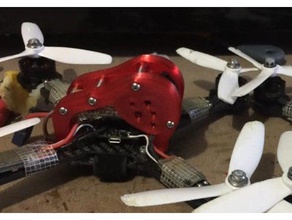 evrensel drone gölgelik - beluga kafesi hobi canopy dört quadcopter 3d print model - Mito3D