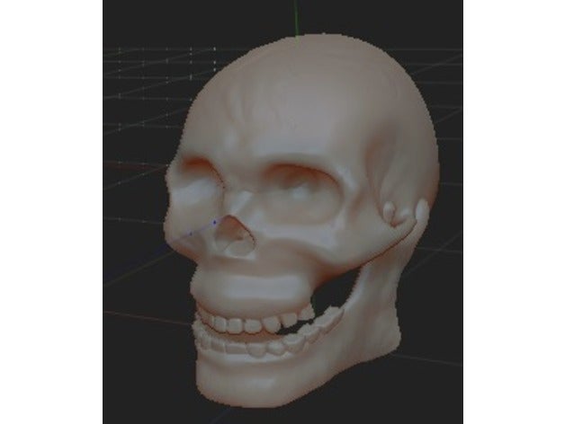 détaillée du crâne sculptures tête d'homme humain le des crânes 3D print model - Mito3D