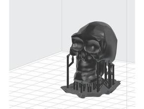 iskelet sanat 3d print model - Mito3D
