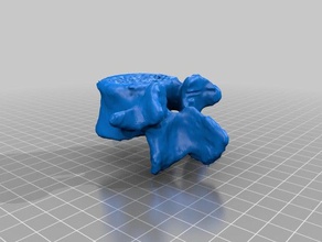 vértebras lombares modelos 3d print model - Mito3D