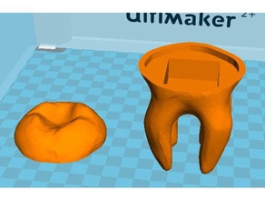 babytooth box containers baby teeth tooth 3d print model - Mito3D