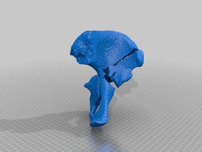 hip joint fracture 3d printing medical models medieval 3d print model - Mito3D