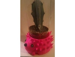 hedgehog cactus holder decor 3d print model - Mito3D