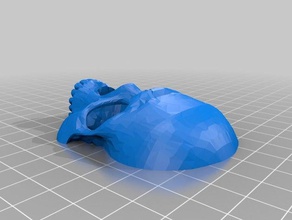 cranio solo decorazione frontale tra cui la versione in miniatura giocattolo & accessori di gioco table top 3d print model - Mito3D