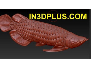 dragon-Fisch-3d-Modell Tiere schöne Fische beste Tier niedlichen Drachenköpfe Fisch 3d print model - Mito3D