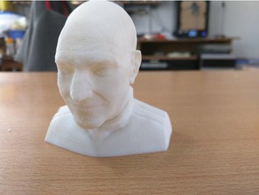 patrick stewart bust - splitted sculptures easy print jean-luc picard patricl star trek 3d print model - Mito3D