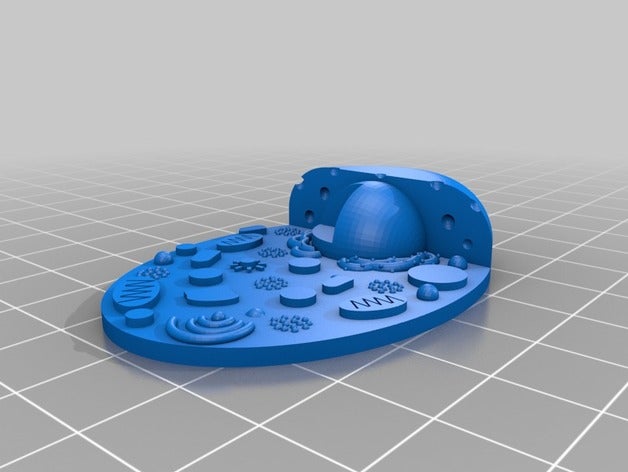 hayvan hücre biyoloji 3D print model - Mito3D