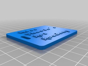 amca etiqueta de bagagem organização personalizado 3d print model - Mito3D