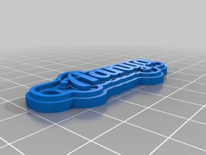 aanya keychains customized 3d print model - Mito3D