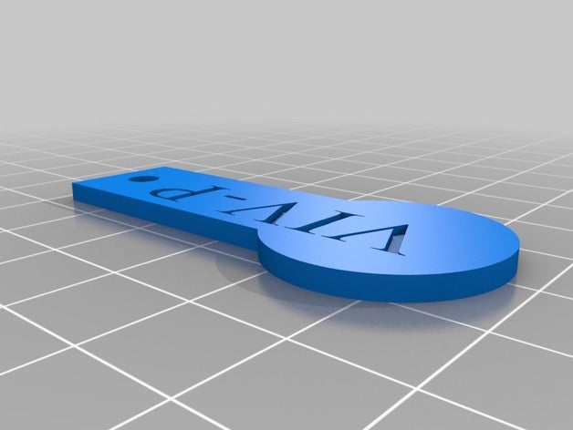 meine kundenspezifische Münze fob Haushalt kundengebundene 3D print model - Mito3D