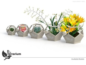 d12 terrarium décor 3d print model - Mito3D