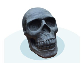 black skull scans e réplicas 3d print model - Mito3D