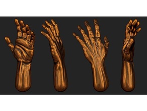 hand Skulptur Menschen Anatomie statue 3d print model - Mito3D
