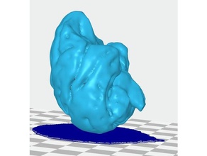 brain halves joined 3d printing 3d print model - Mito3D