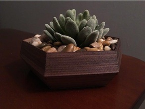 sechseckige saftigen Pflanzer Dekor Dekoration hexagon pla pflanze saftig sind Sukkulenten Holz 3d print model - Mito3D