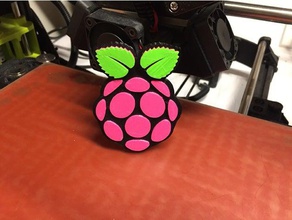 raspberry pi logotipo signos y logotipos el frambuesa rpi tinwhiskerz 3d print model - Mito3D