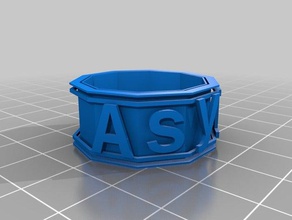 asylum2 pulseiras personalizado 3d print model - Mito3D