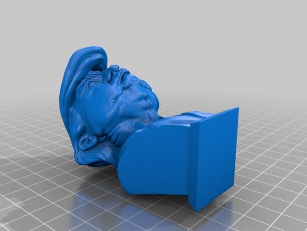 unflattering trump bust people donald putin 3D print model - Mito3D