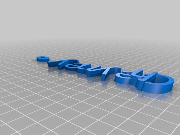 cheyney key fob organização personalizado 3D print model - Mito3D
