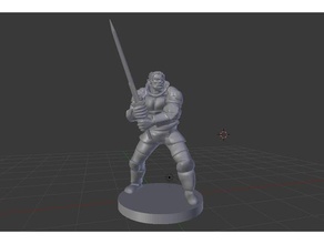 fighter collection toys & games d&d dnd dragonborn dungeons dragons elf gaming gnome half orc paladin pathfinder tiefling warrior 3d print model - Mito3D