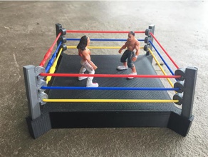 wrestling ring toys & games arena match asllexicon cage gift kid necklace cord olsen present silkies smack down sports entertainment tinkercad todd toy world wrestle mania wrestler wwe raw 3d print model - Mito3D