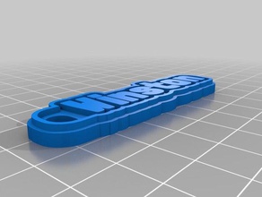 winston Schlüsselanhänger kundengebundene 3d print model - Mito3D