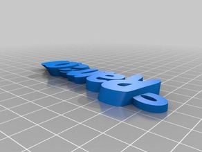 ramona i portachiavi su misura 3d print model - Mito3D