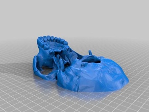 rotated bottom dantana's human skull people 3d print model - Mito3D