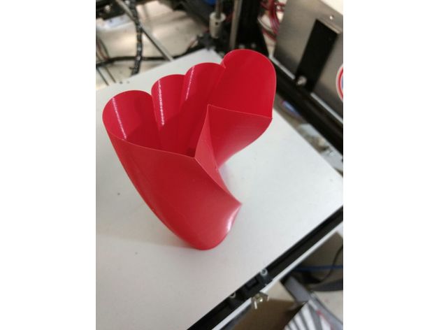 coração duplo trançado vaso recipientes casal o de flor corações espiral impressão torcida do vasos modo 3D print model - Mito3D